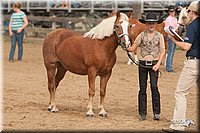 4H-LC-Fair-09_0154.jpg