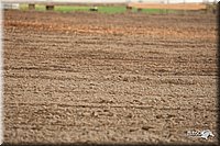 4H-Fn-Shw-09_0967.jpg