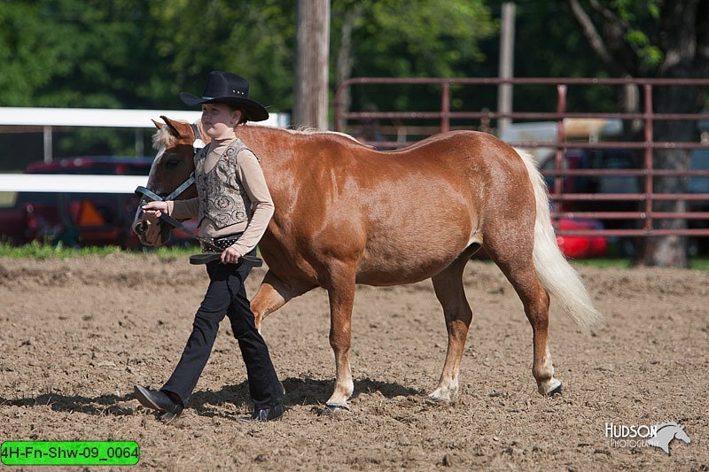 4H-Fn-Shw-09_0064.jpg
