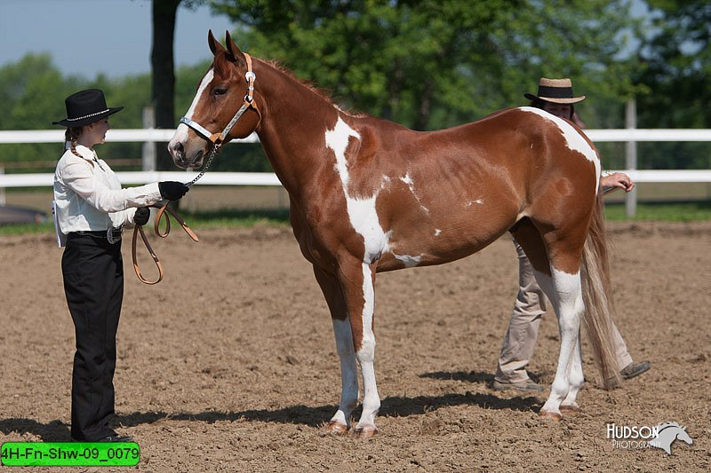 4H-Fn-Shw-09_0079.jpg