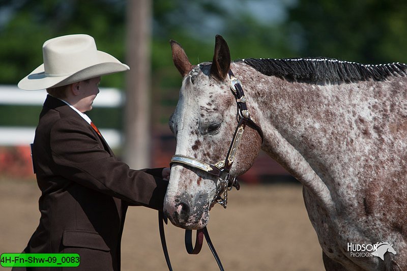 4H-Fn-Shw-09_0083.jpg