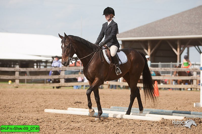 4H-Fn-Shw-09_0746.jpg