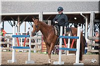 4H-Fn-Shw-09_0711.jpg
