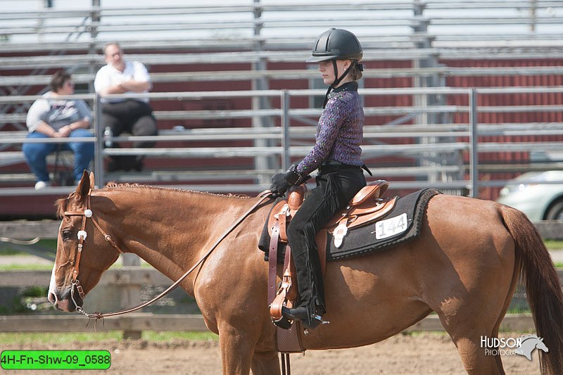 4H-Fn-Shw-09_0588.jpg