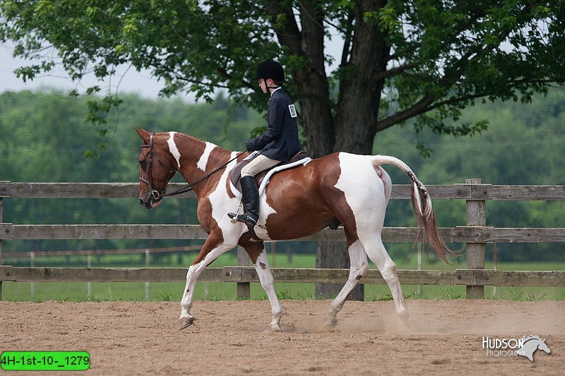 4H-1st-10-_1279.jpg