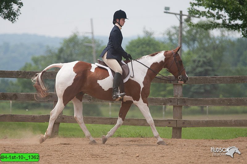 4H-1st-10-_1362.jpg