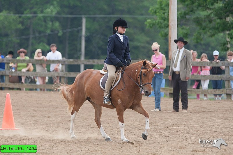 4H-1st-10-_1434.jpg