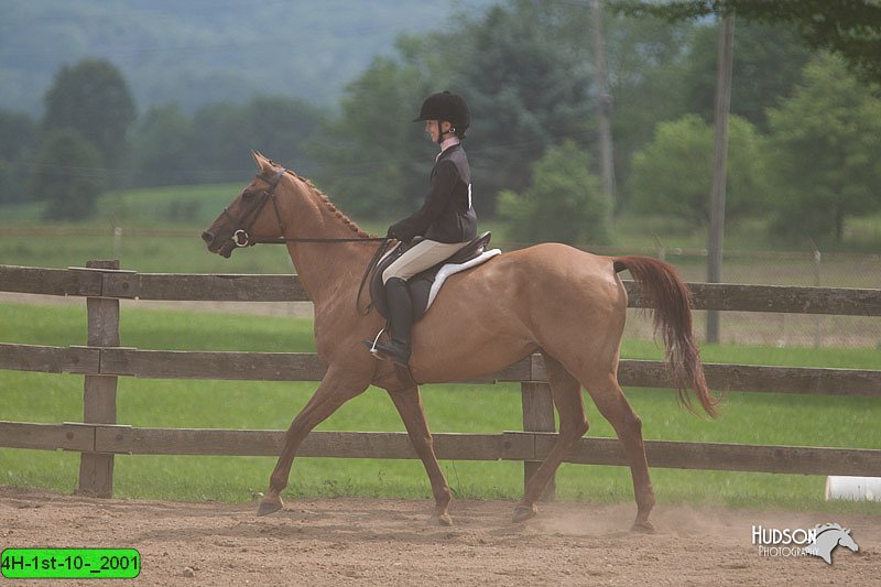 4H-1st-10-_2001.jpg