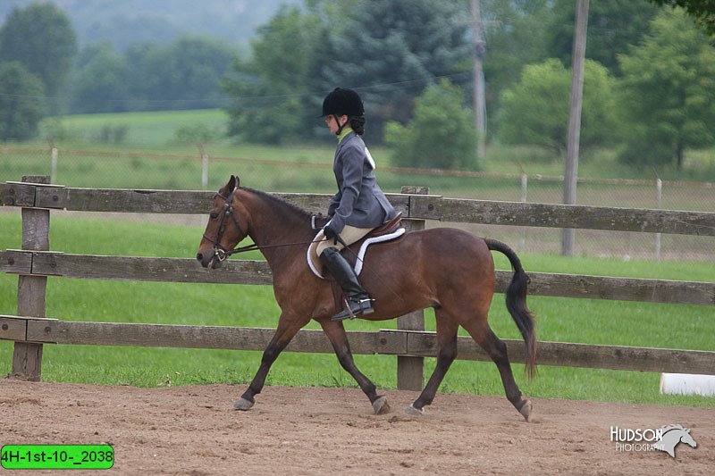 4H-1st-10-_2038.jpg