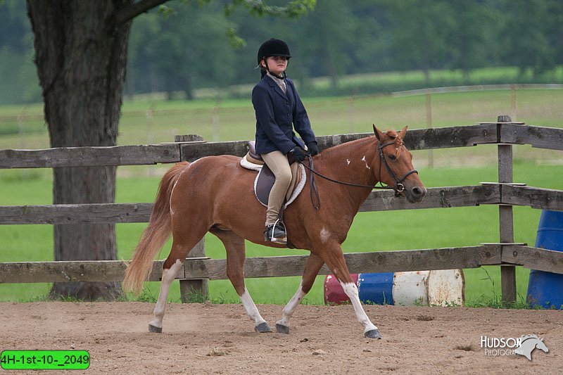 4H-1st-10-_2049.jpg