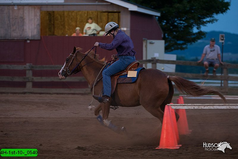 4H-1st-10-_0540.jpg