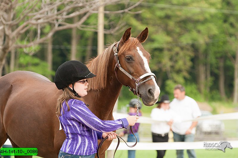 4H-1st-10-_0086.jpg