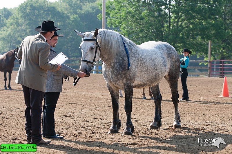 4H-1st-10-_0764.jpg