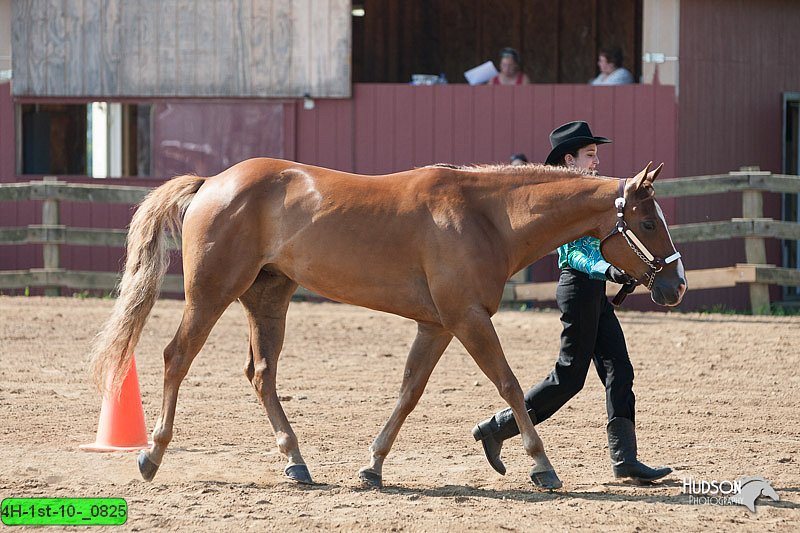 4H-1st-10-_0825.jpg