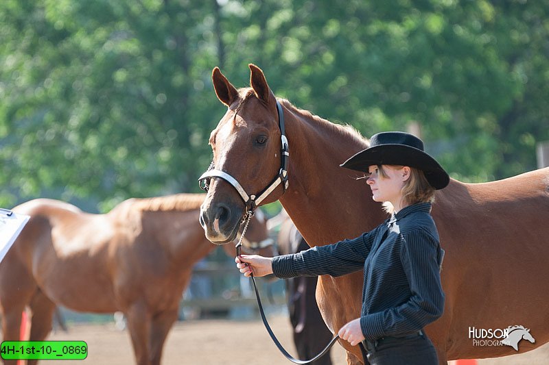 4H-1st-10-_0869.jpg