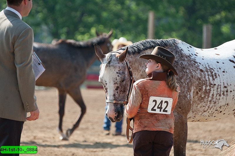 4H-1st-10-_0884.jpg