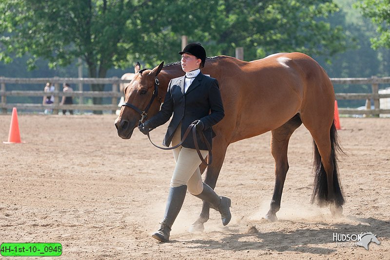 4H-1st-10-_0945.jpg