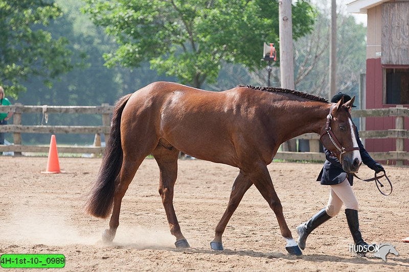 4H-1st-10-_0989.jpg