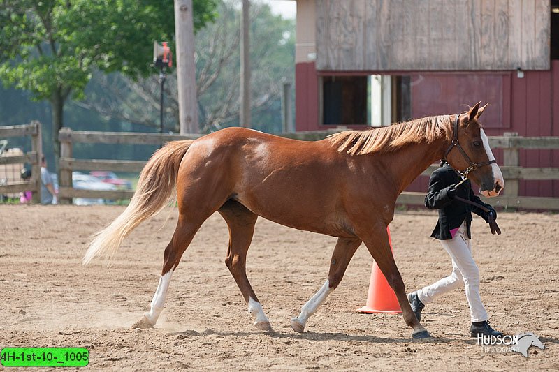 4H-1st-10-_1005.jpg