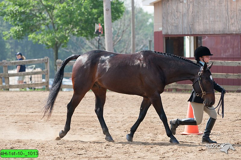 4H-1st-10-_1013.jpg