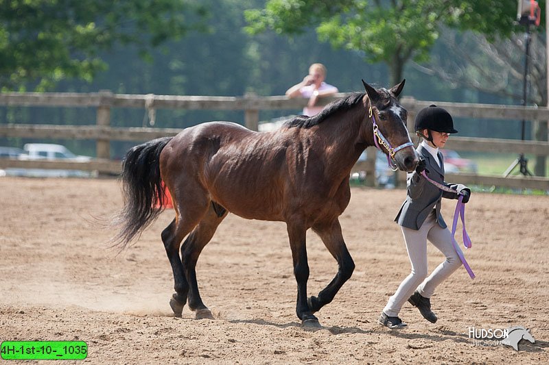 4H-1st-10-_1035.jpg