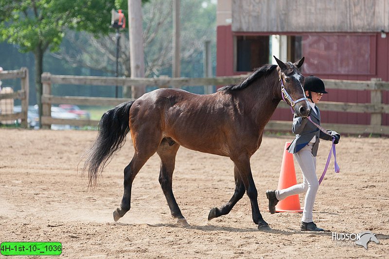 4H-1st-10-_1036.jpg