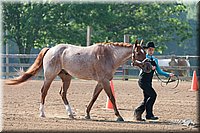 4H-1st-10-_0765.jpg