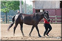 4H-1st-10-_0775.jpg