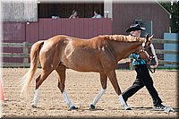 4H-1st-10-_0794.jpg