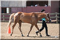 4H-1st-10-_0825.jpg