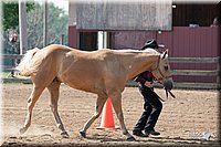 4H-1st-10-_0847.jpg