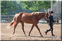 4H-1st-10-_0864.jpg