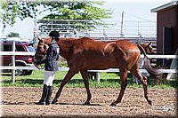4H-2nd-10__0590.jpg