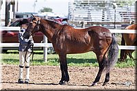 4H-2nd-10__0603.jpg
