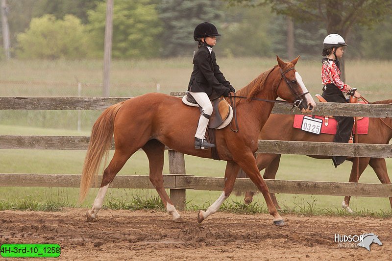 4H-3rd-10_1258.jpg