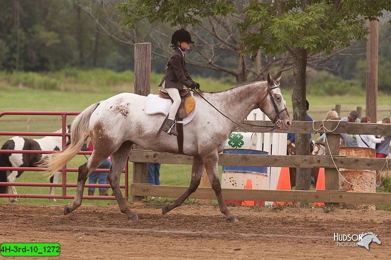 4H-3rd-10_1272.jpg