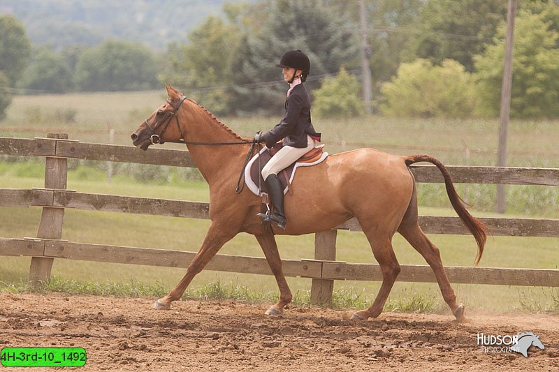 4H-3rd-10_1492.jpg