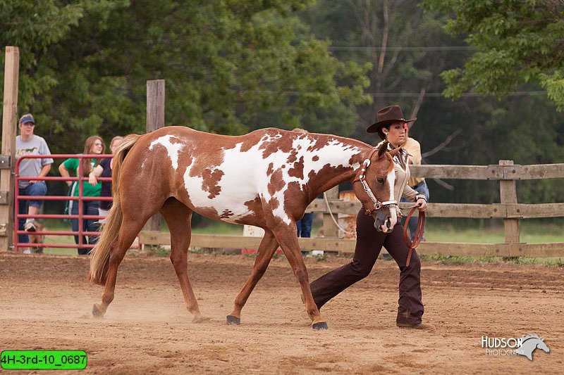 4H-3rd-10_0687.jpg