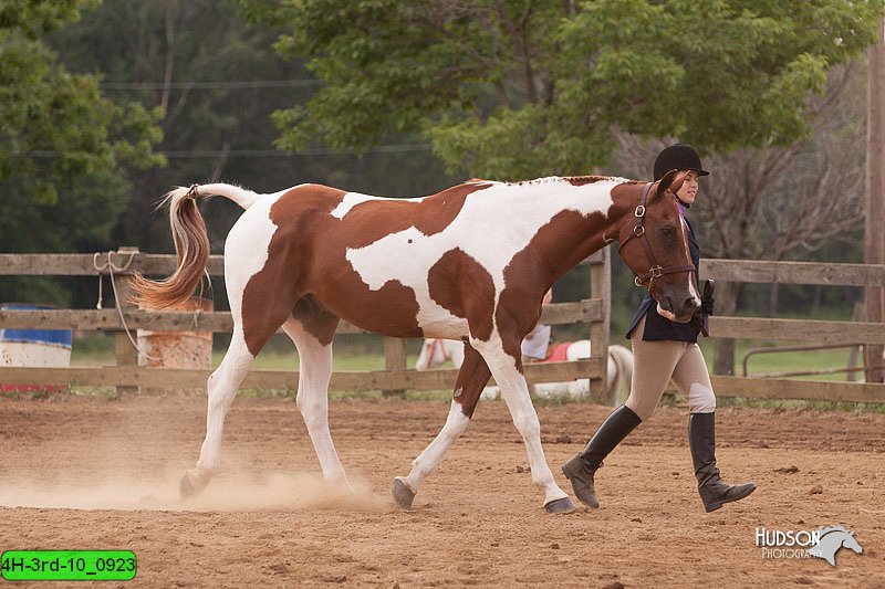 4H-3rd-10_0923.jpg