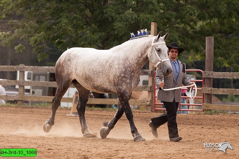 4H-3rd-10_1066.jpg