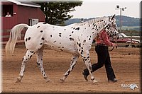 4H-3rd-10_0719.jpg