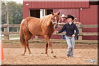 4H-3rd-10_0780.jpg