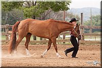 4H-3rd-10_0841.jpg