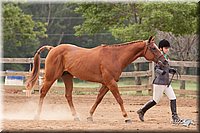 4H-3rd-10_0931.jpg