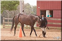 4H-3rd-10_0968.jpg