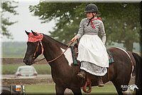 LC-Fair-2010_2962.jpg