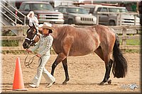 LC-Fair-2010_2483.jpg