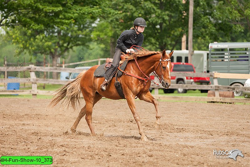 4H-Fun-Show-10_373.jpg