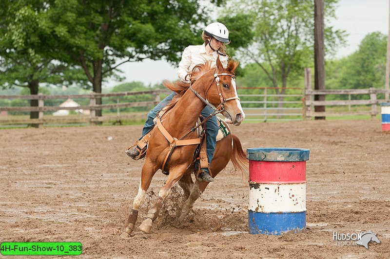 4H-Fun-Show-10_383.jpg