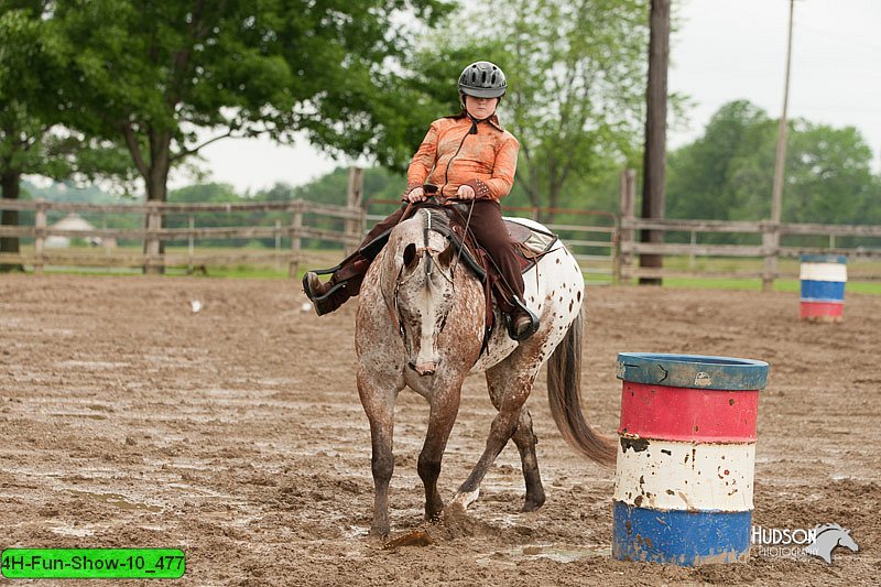 4H-Fun-Show-10_477.jpg